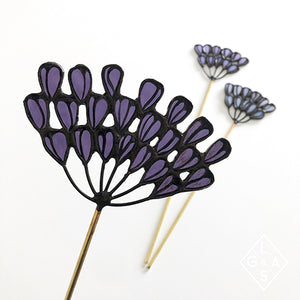 Open afbeelding in diavoorstelling Agapanthus
