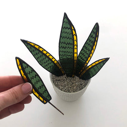 Sanseveria 2.0