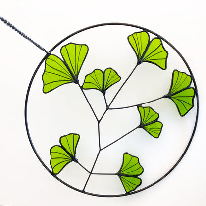 Ginkgo Bilboa Krans