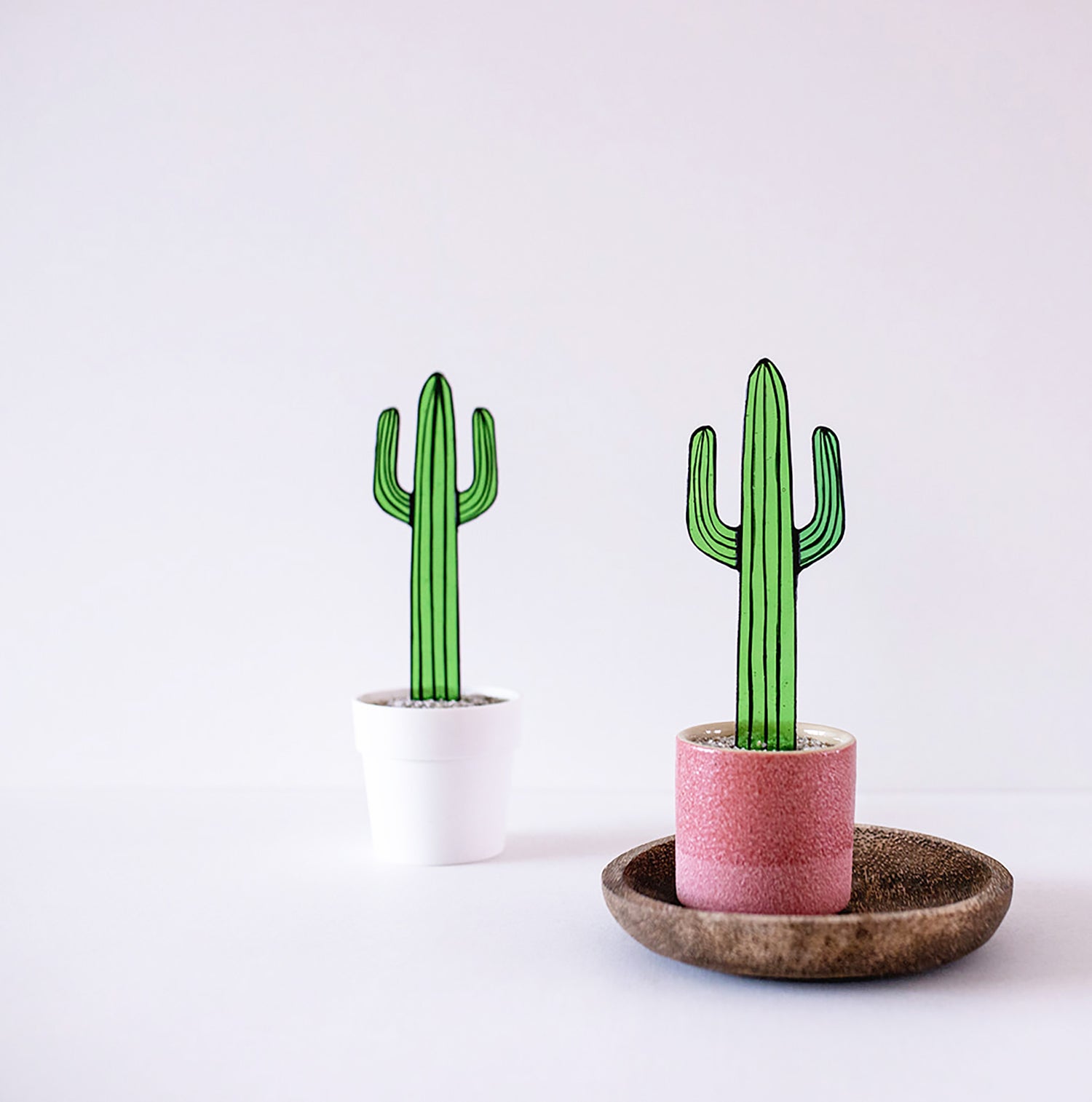 Mexicaanse Cactus