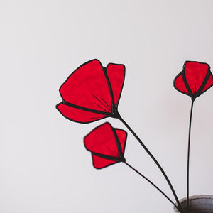 Open afbeelding in diavoorstelling Wilde bloemen in Glas - Klaprozen
