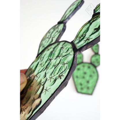 Cactus In Glas - Cactussen