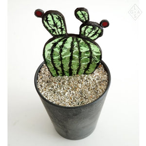 Open afbeelding in diavoorstelling Cactus In Glas - Euphorbia - Cactussen

